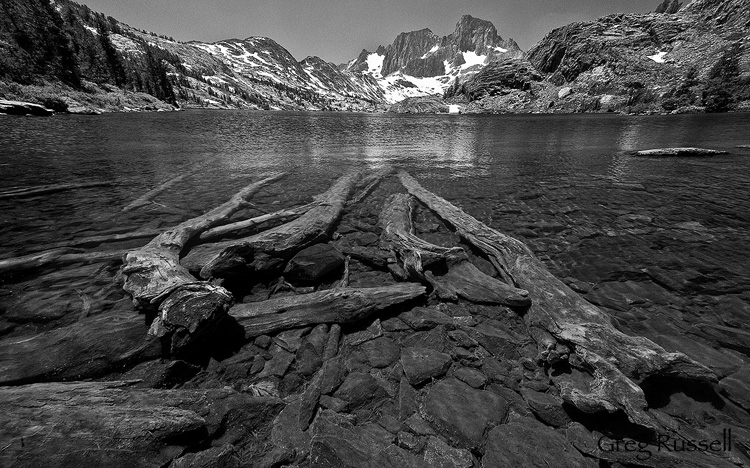 logs submerged in garnet lake, with mt. ritter and banner peak in the background, ansel adams wilderness