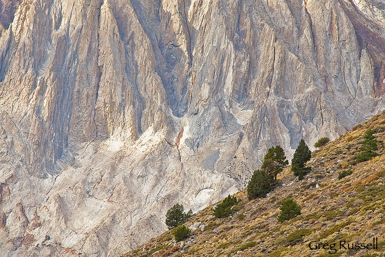 detail of laurel mountain in the sierra nevada mountains of california