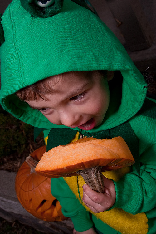 Child enjoying pumpkin at Halloween A small child enjoys the top of a jackolantern at Halloween