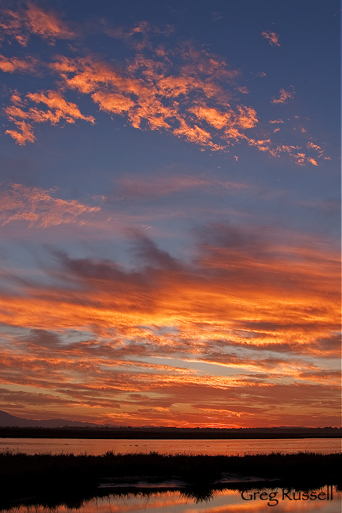 Bolsa Chica Sunrise Fiery Sunrise at Bolsa chica Wetlands near Huntington Beach, California