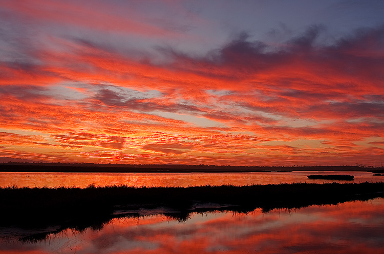 Bolsa Chica Sunrise Fiery Sunrise at Bolsa chica Wetlands near Huntington Beach, California