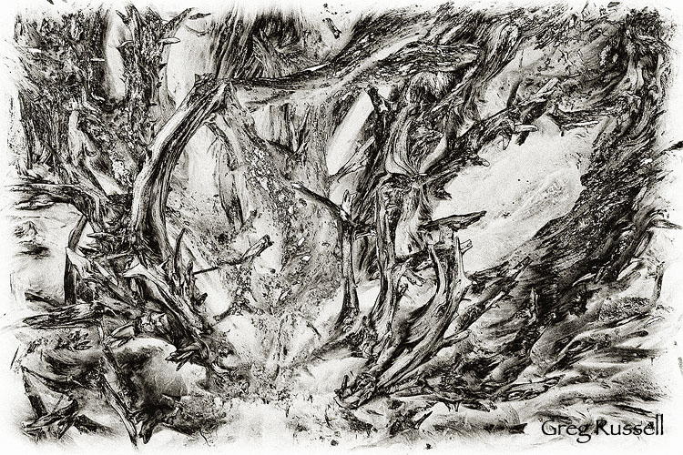 sequoia_roots_abstract1 Abstract image of roots from a giant Sequoia, Sequoia National Park California