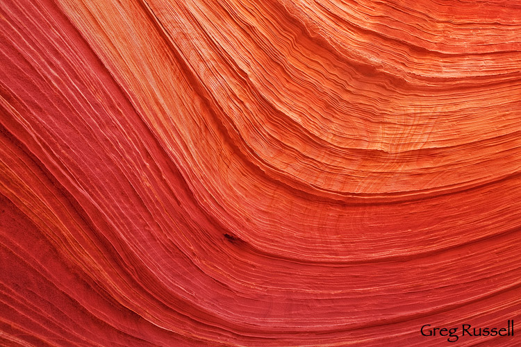 coyote_buttes_sandstone_detail1 Detail of sandstone in the north coyote buttes area of northern arizona