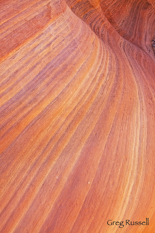 Valley of Fire sandstone Detail Colorful Sandstone at Valley of Fire State Park, Nevada