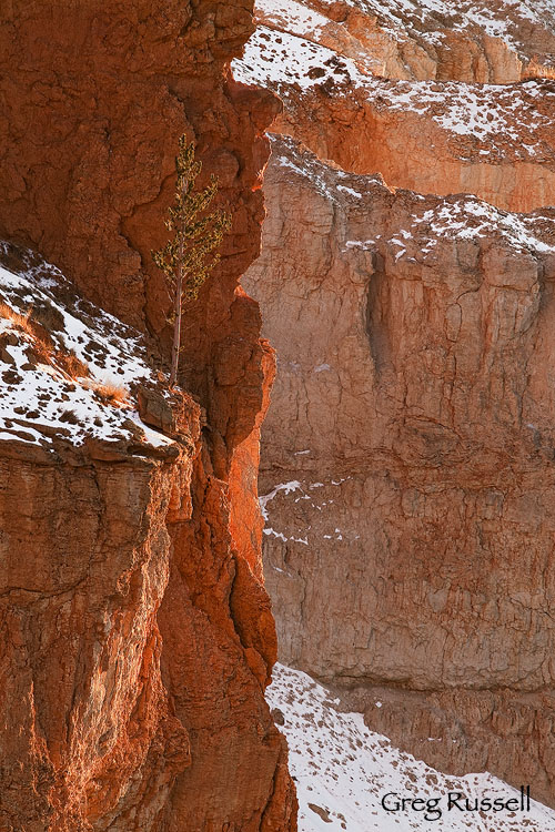 Bryce Canyon Afternoon Late Afternoon in Bryce Canyon National Park, Utah