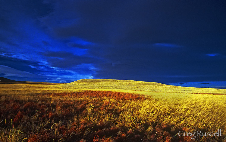 Wyoming Prairie The prairie ecosystem near Cheyenne, Wyoming