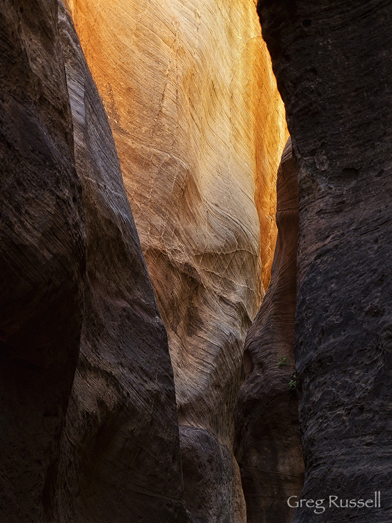 Red Canyon Walls Reflected light in a southern Utah canyon
