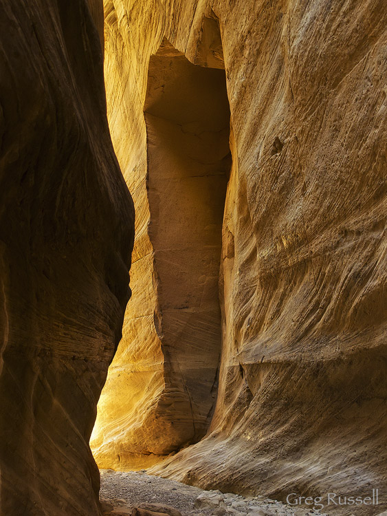 Orderville Canyon Reflected light, Orderville Canyon, Utah