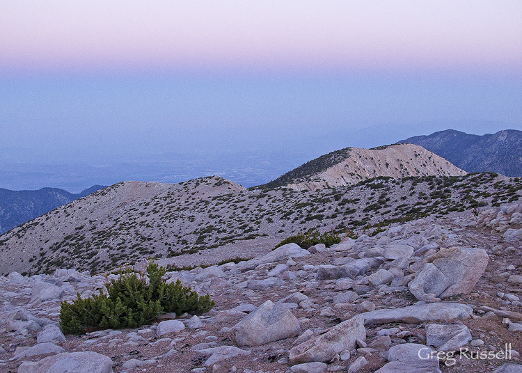 Sunrise on Jepson Peak Sunrise on the flanks of San Gorgonio Mountain