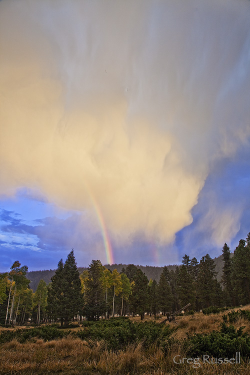 Aspens and rainbow Rainbow and thunderstorm in northern New Mexico