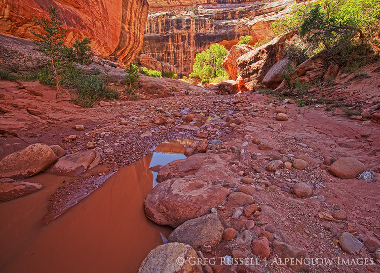 White Canyon, Natural Bridges National Monument