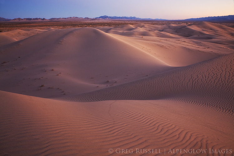 photo of Cadiz Sand Dune complex at sunset; the rolling sand dunes have a slight purple color, and the southern horizon displays sunset colors