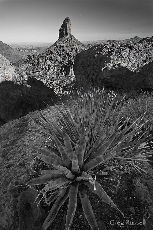 Weaver's Needle from Weaver's Outlook Ridge, February 2010