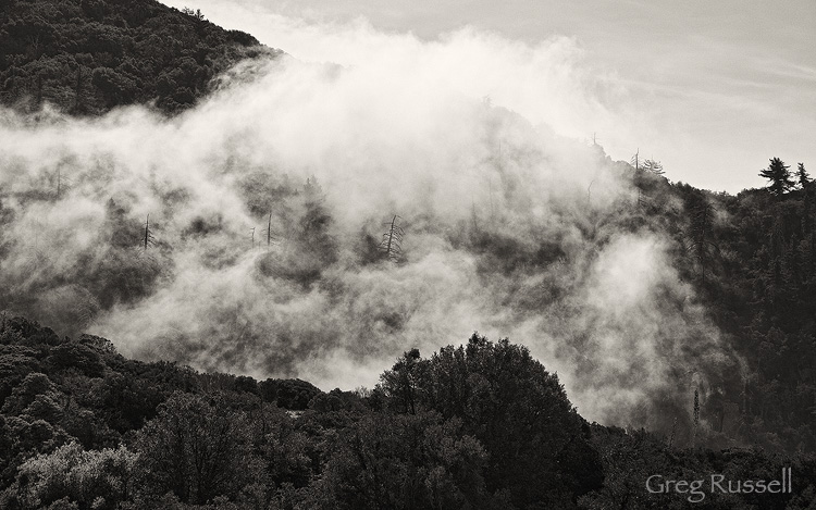 fog rises in the san berdino mountains of southern california