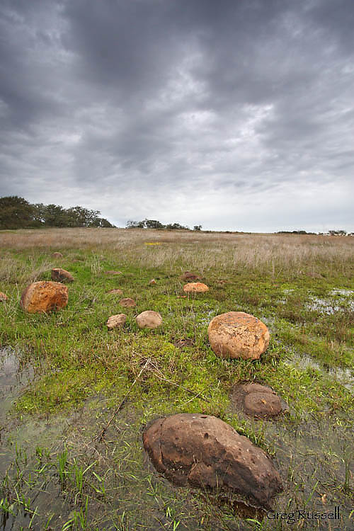 santa rosa plateau, engelmann oak, Quercus engelmannii, bunchgrass prairie, riverside county open spaces, open space initiative, nature conservancy, moonrise, full moon photo, moon photo