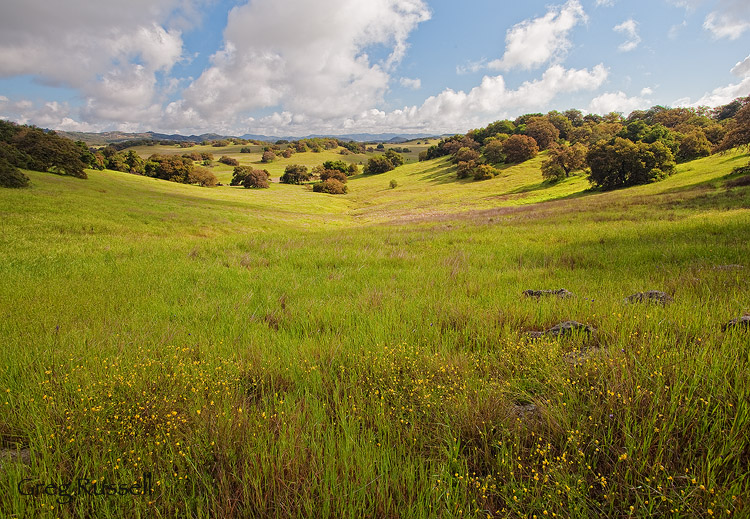 A lovely pastoral scene at the Santa Rosa Plateau Ecological Reserve