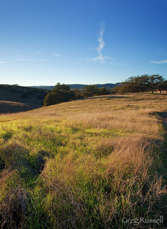 afternoon at the santa rosa plateau ecological reserve