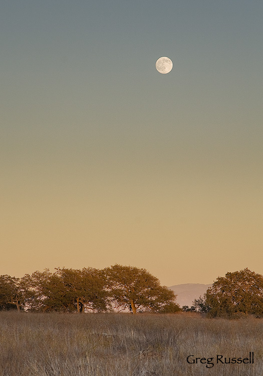 Moonrise at the Santa Rosa Plateau Ecological Reserve near Murrieta, California
