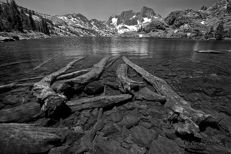Garnet Lake Garnet lake and submerged logs, Ansel Adams Wilderness, California
