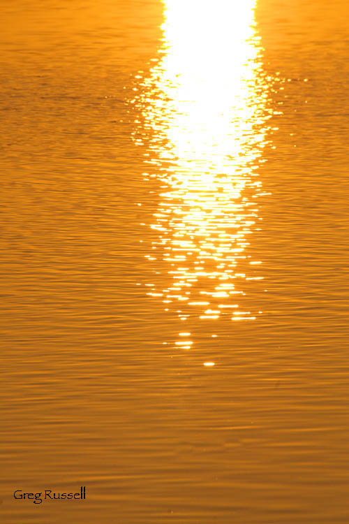 Bolsa Chica Bay sunrise abstract I