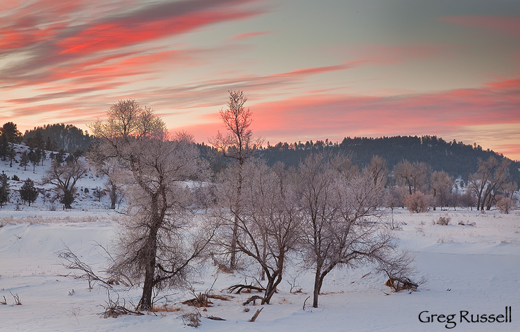 dramatic sunrise scene in winter in the Belle Fourche river valley, devils tower national monument, wyoming