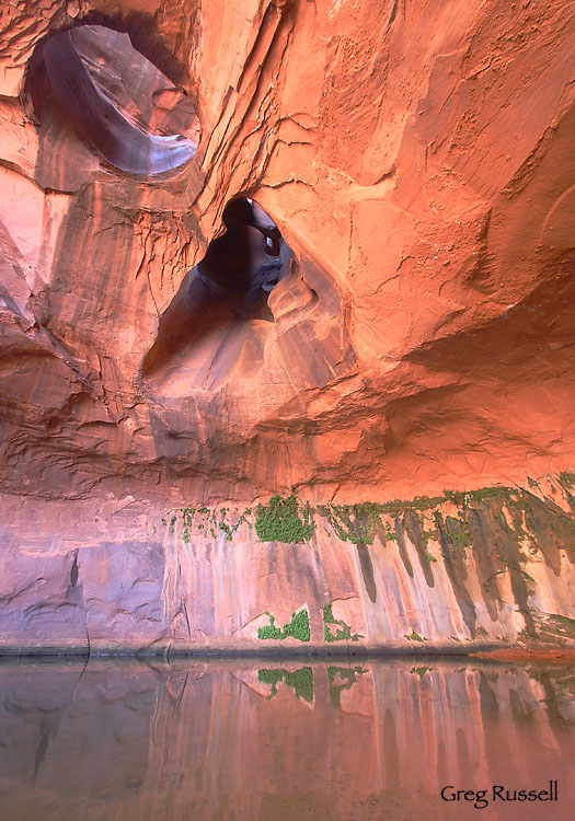 grand staircase-escalante; national park photo; utah photo; glen canyon recreation area; hiker photo; natural phenomenon; canyon photo; us national parks; national monument; national recreation area; golden cathedral; neon canyon