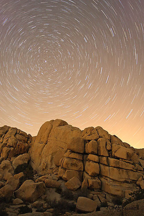 joshua tree; joshua tree national park;  star trails; night photography