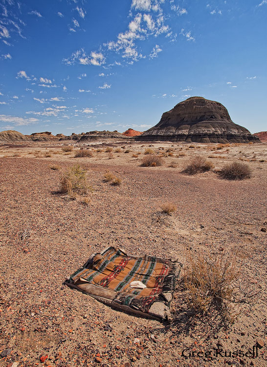 a lost navajo saddle blanket in the bisti badlands of northwestern new mexico
