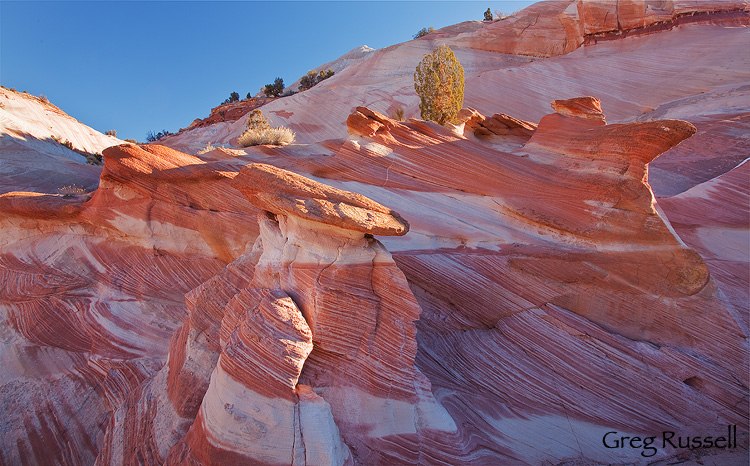 sandstone outcropping on the paria river, southern utah
