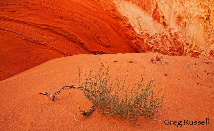 Unique sandstone shapes and colors near a small sand dune at the White Pocket, located near the Coyote Buttes permit area in northern Arizona