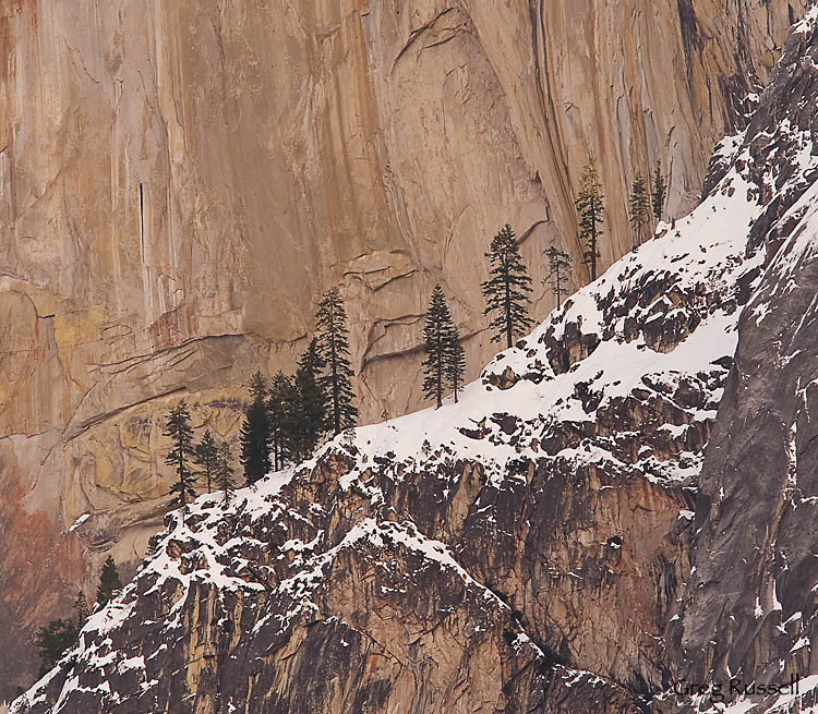 yosemite icon; Yosemite National Park; Yosemite Photo; yosemite scene; winter photo; winter scene; granite; half dome; granite detail; abstract image; yosemite valley; john muir 