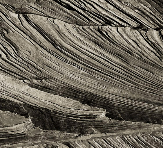 zion, zion national park, national park, utah, sandstone abstract, abstract photo
