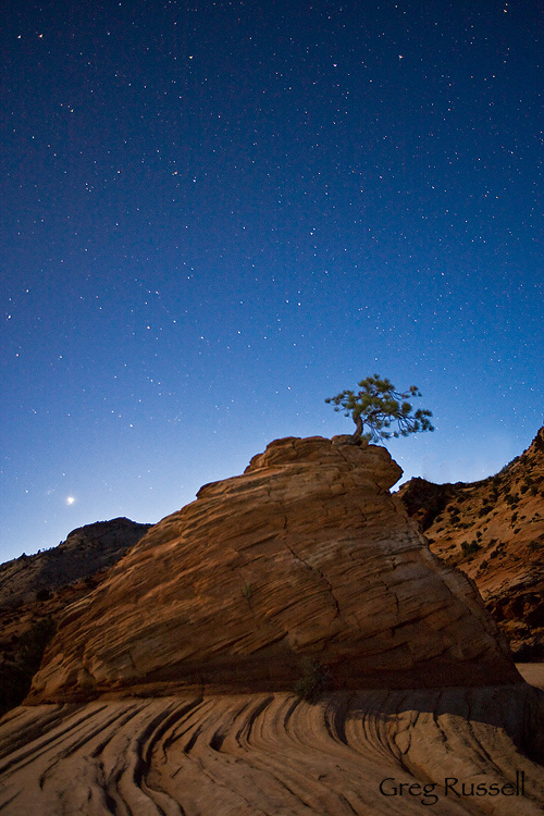 zion, zion national park, national park, utah, nighttime photography, starscape