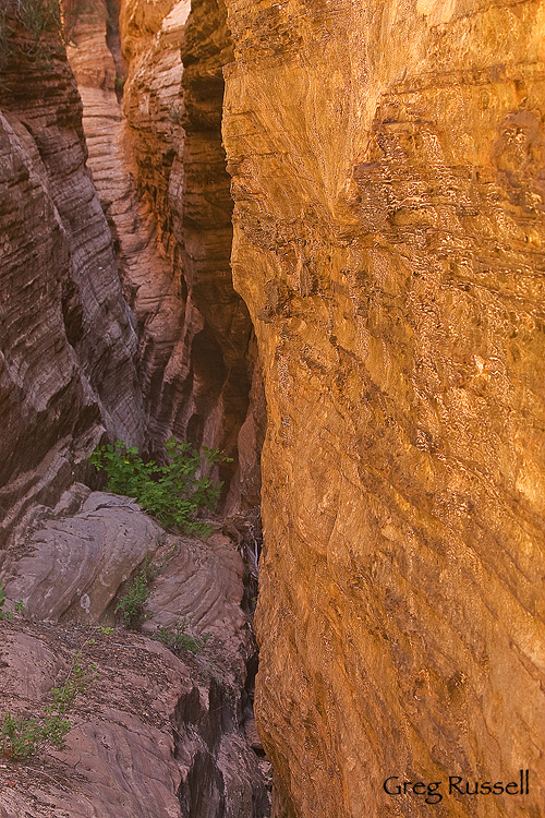 Inside a slot canyon