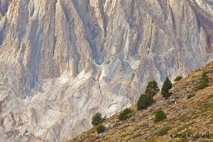 Sierra Nevada, California