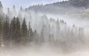 Jemez Mountains, New Mexico