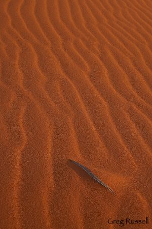 Sand Dune, Utah