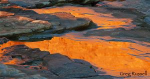 Tidal Pools, California