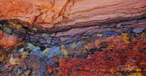 Sandstone & Lichen, California