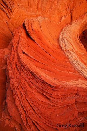 Vermillion Cliffs Wilderness, Arizona