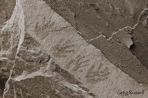 cedar_mesa_handprints.jpg