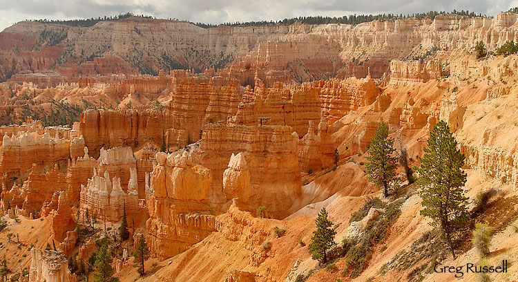 bryce canyon, bryce canyong national park, bryce, national park, claron formation, utah national park, bryce photo