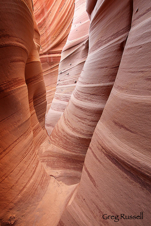 grand staircase-escalante; national park photo; utah photo; glen canyon recreation area; hiker photo; natural phenomenon; canyon photo; us national parks; national monument; national recreation area; zebra canyon; slot canyon; canyon photo
