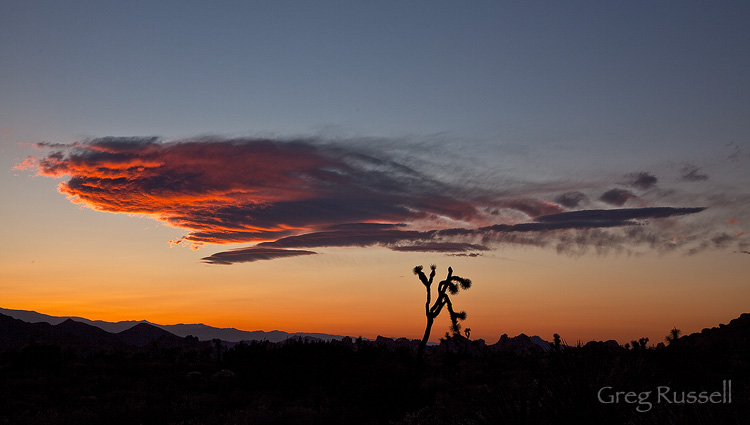 a dramatic, colorful sunset in Joshua Tree national park, california