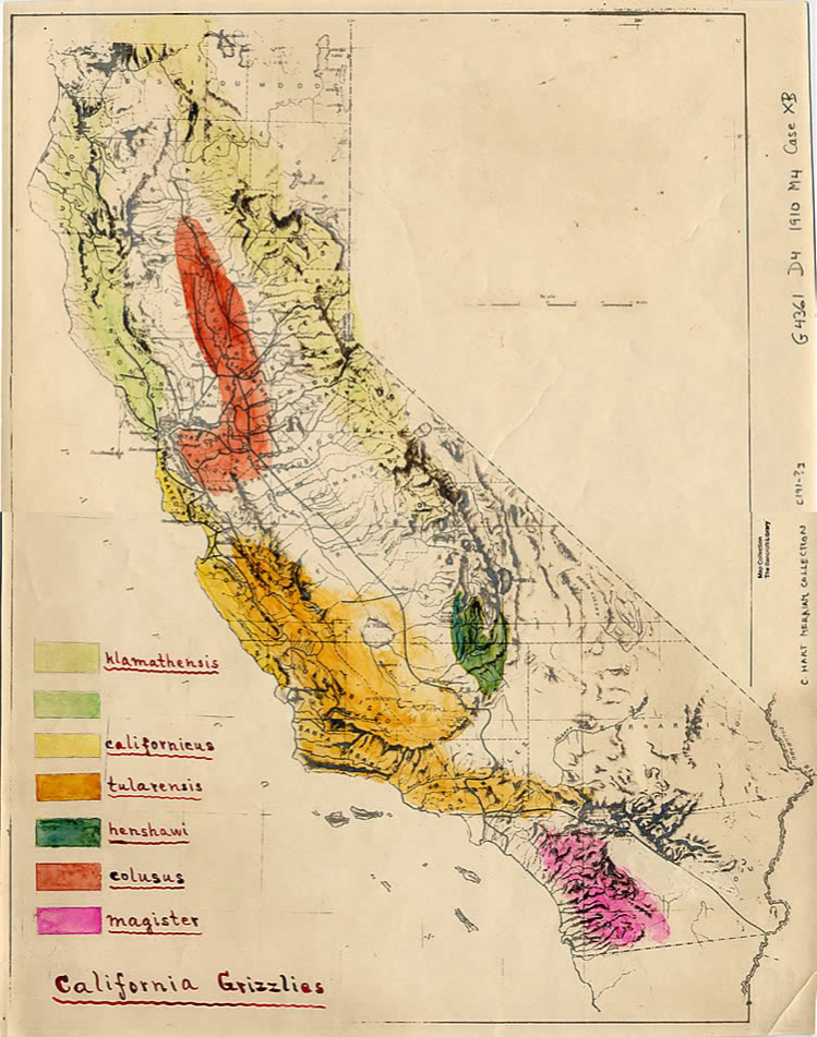 map of California with hand colored ranges of grizzly bear subspecies