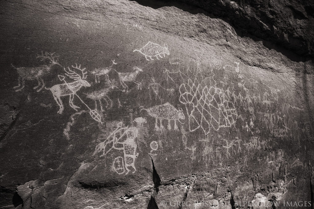 A Navajo rock art panel in northwestern New Mexico with animal and human figures.