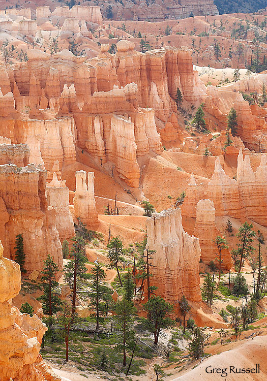 bryce canyon, bryce canyong national park, bryce, national park, claron formation, utah national park, bryce photo