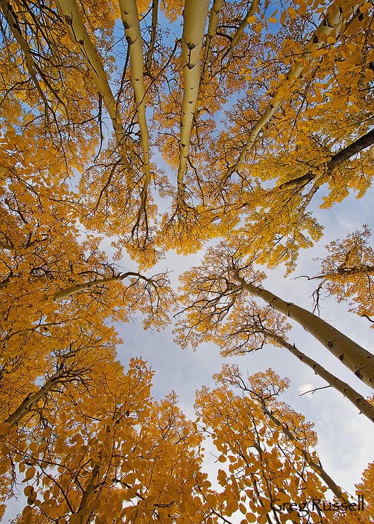 fall colors near convict lake in the eastern sierra nevada mountains