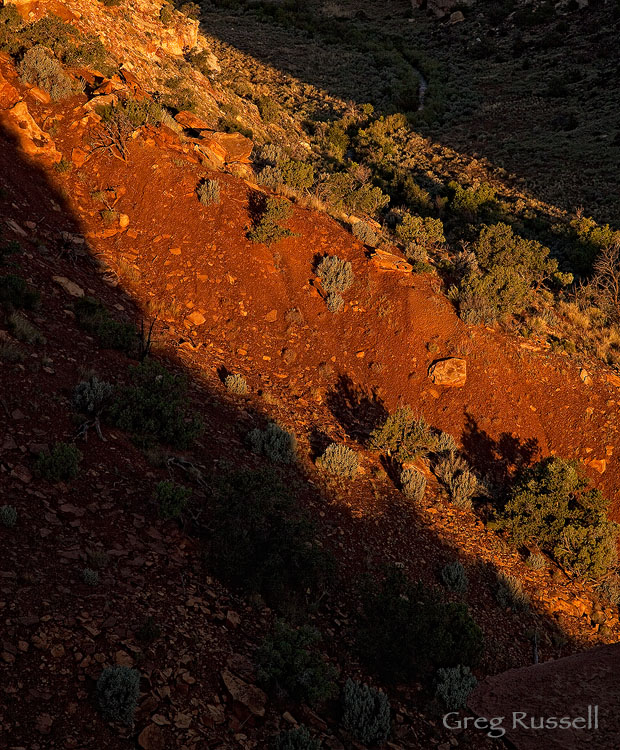 sunrise in Capitol Reef National Park, Utah