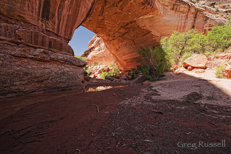 kachina bridge at natural bridges national monument, utah